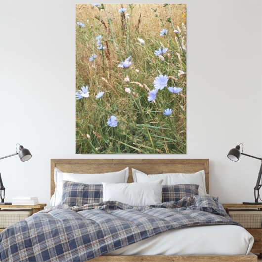 Chicory Leinwanddruck (Insitu (Schlafzimmer))