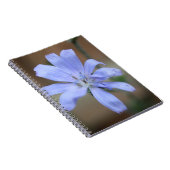 Chicory Notizblock (Rechte Seite)