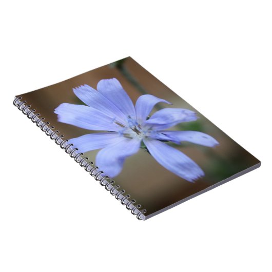 Chicory Notizblock (Rechte Seite)