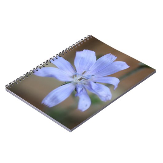 Chicory Notizblock (Linke Seite)