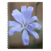 Chicory Notizblock (Vorderseite)