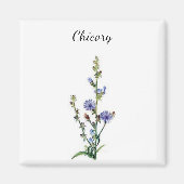 Chicory Plant Magnet (Vorne)