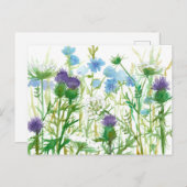 Chicory Thistle Queen Annes Lace Wildblumen Postkarte (Vorne/Hinten)