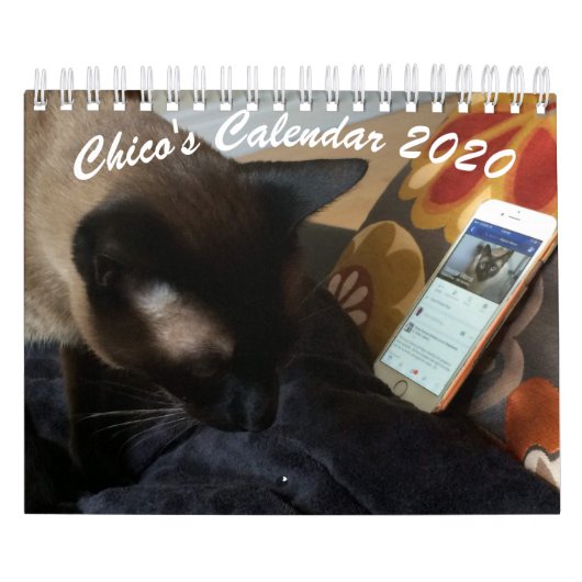 Chicos Kalender 2020 (Titelbild)