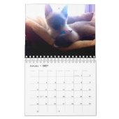 Chicos Kalender 2020 (Jan 2027)