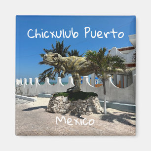 Chicxulub Puerto, Mexiko - Quadratischer Magnet