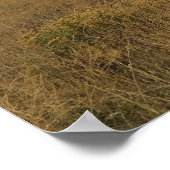 Chief Joseph Mountain, Oregon Poster (Ecke)