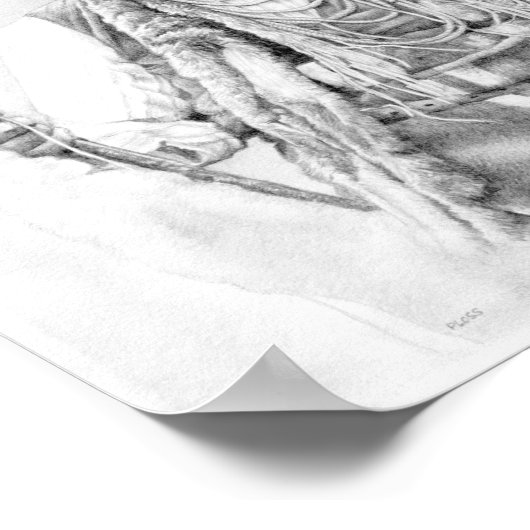 Chief Joseph Poster (Ecke)