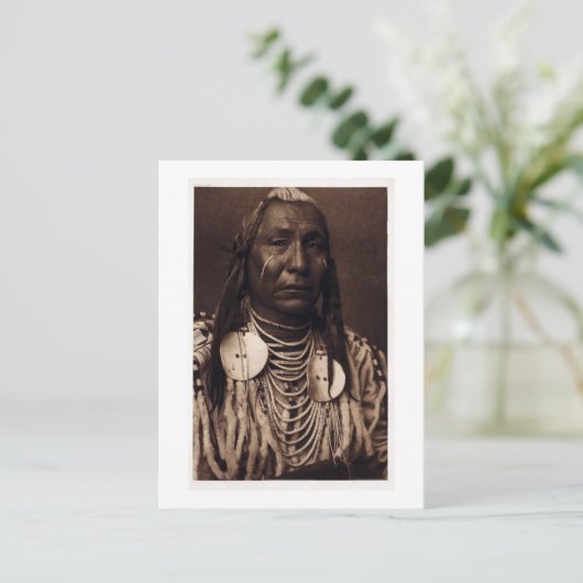 Chief Red Wing - Tatankamani - Walking Buffalo Postkarte (Stehend Vorderseite)