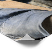 Chief Verlassen Handbär 1898 Vintag Poster (Ecke)