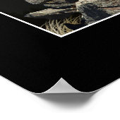 CHIEFTAIN BIG HORD SHEEP Wildlife Foto Poster (Ecke)