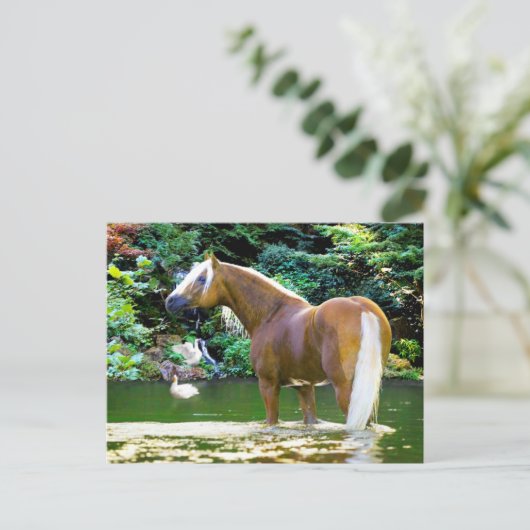 "Chieftain kühlt ab" Postkarte (Stehend Vorderseite)