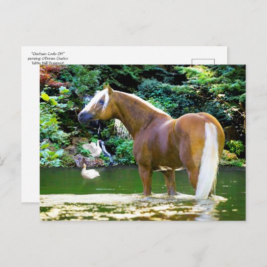 "Chieftain kühlt ab" Postkarte (Vorne/Hinten)