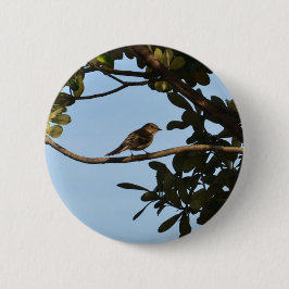 Chiffchaff Button