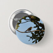Chiffchaff Button (Vorne & Hinten)
