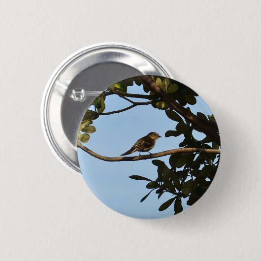 Chiffchaff Button (Vorne & Hinten)