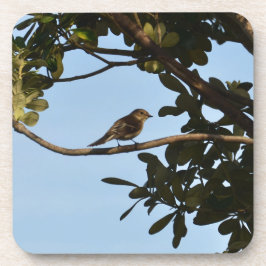 Chiffchaff Getränkeuntersetzer