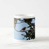 Chiffchaff Kaffeetasse (Mittel)