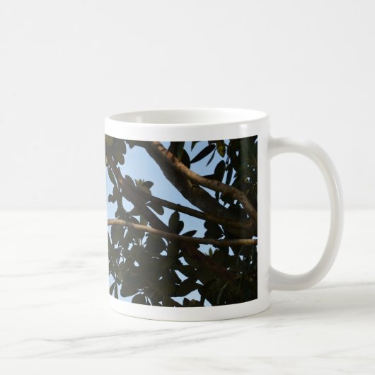 Chiffchaff Kaffeetasse (Rechts)