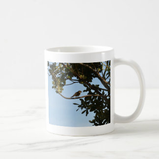 Chiffchaff Kaffeetasse
