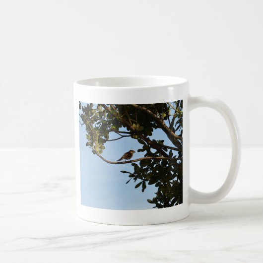 Chiffchaff Kaffeetasse (Rechts)