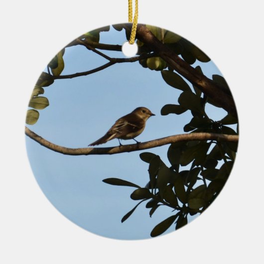 Chiffchaff Keramik Ornament (Vorne)