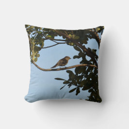 Chiffchaff Kissen