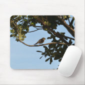 Chiffchaff Mousepad (Mit Mouse)