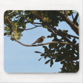 Chiffchaff Mousepad (Vorne)