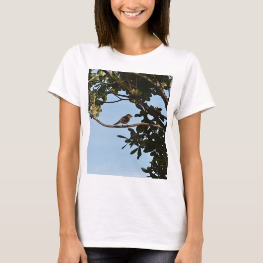 Chiffchaff T-Shirt (Vorderseite)