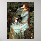 Chihuahua 1 - Ophelia Sitzplatz Poster (Vorne)