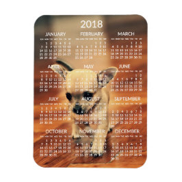 Chihuahua 2018 Calendar Foto Magnet 3x4 Klein
