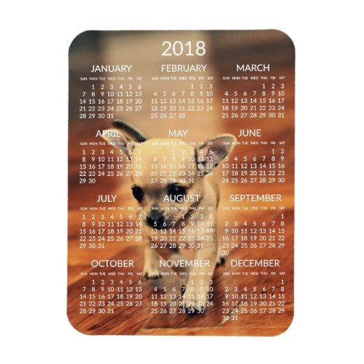Chihuahua 2018 Calendar Foto Magnet 3x4 Klein (Vertikal)