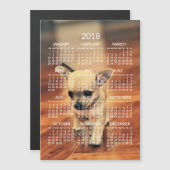 Chihuahua 2018 Calendar Foto Magnetic Card 12x18 Magnetkarte (Vorne/Hinten)