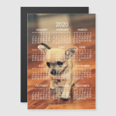 Chihuahua 2020 Calendar Foto Magnetic Card 12x18 Magnetkarte (Vorne/Hinten)
