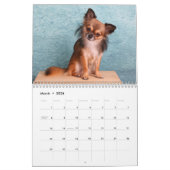 Chihuahua 2025 kalender (Mär 2026)