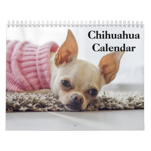 Chihuahua 2025 kalender (Titelbild)