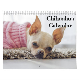 Chihuahua 2027 kalender