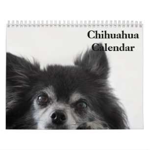 Chihuahua 2027 kalender