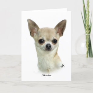 Chihuahua 9P93D-123_2 Karte