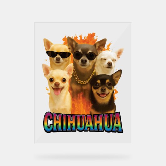 Chihuahua acrylschild (Vorderseite)
