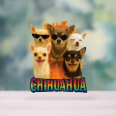 Chihuahua acrylschild (Neutral)