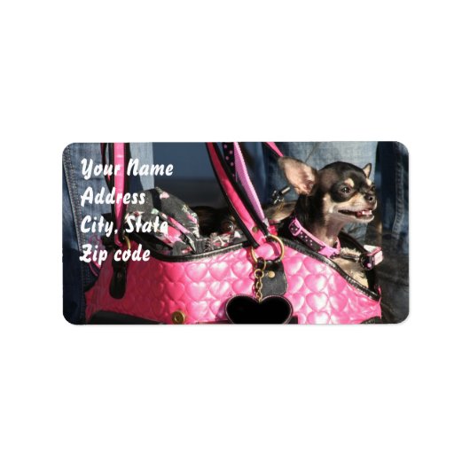 Chihuahua Address Labels Adressaufkleber (Vorne)