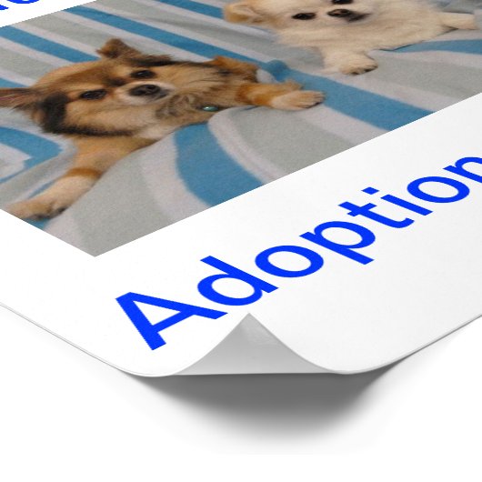 Chihuahua Adoption heute unterzeichnen Poster (Ecke)