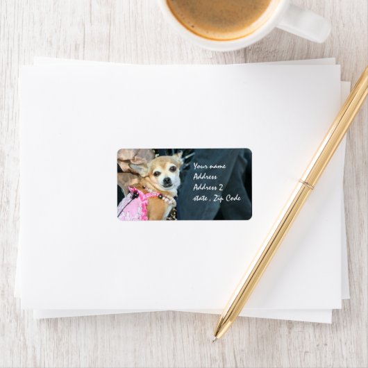 Chihuahua Adressaufkleber (Insitu)