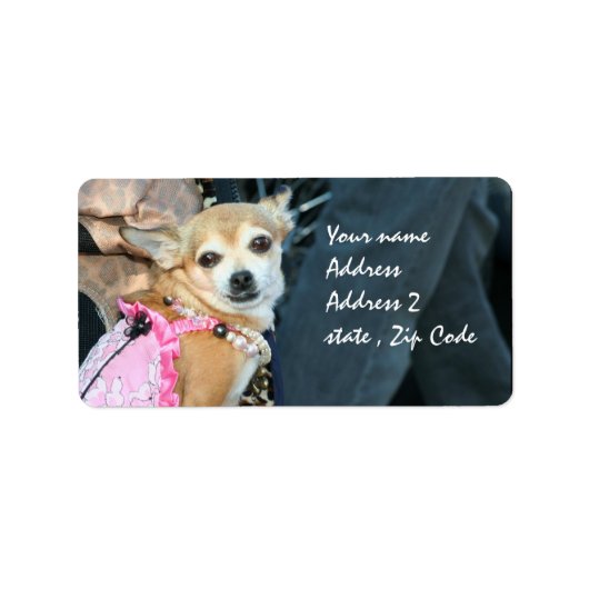 Chihuahua Adressaufkleber (Vorne)