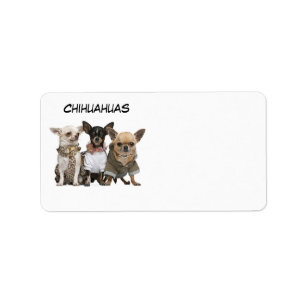 CHIHUAHUA ADRESSAUFKLEBER