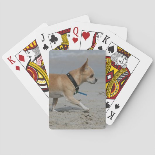 Chihuahua am Strand Spielkarten (Rückseite)
