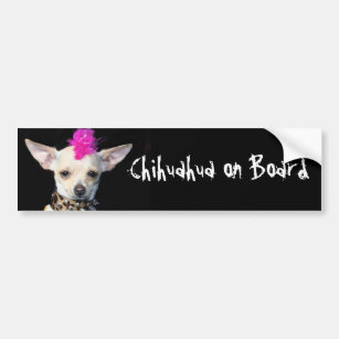 Chihuahua an Bord des Autoaufklebers Autoaufkleber