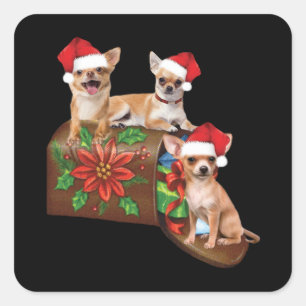 Chihuahua auf Box Brief Weihnachtsschmuck Niedlich Quadratischer Aufkleber